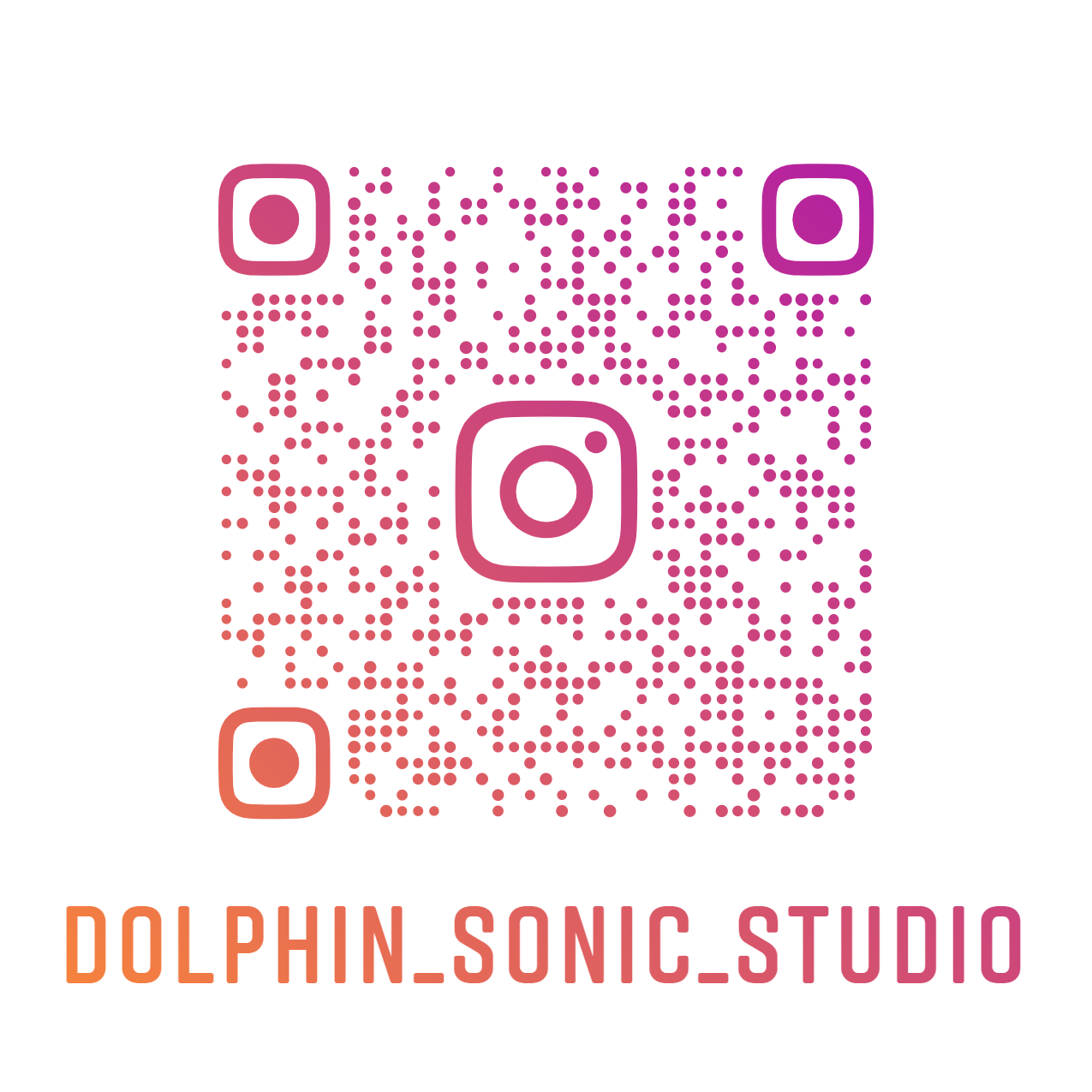 dolphin sonic studio nametag
